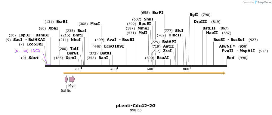 128015_map