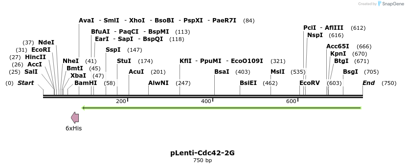 128016_map