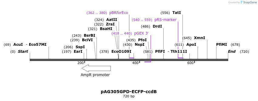 128017_map