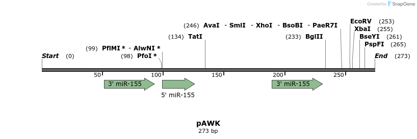 128018_map
