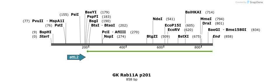 128022_map