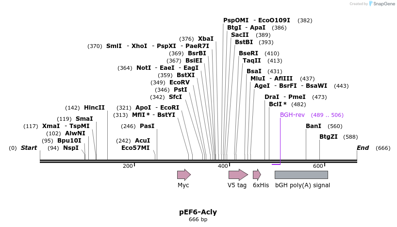 128025_map
