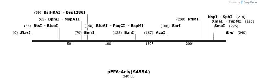 128028_map