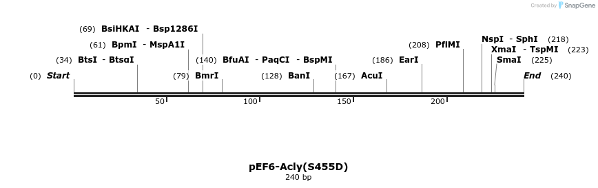 128031_map