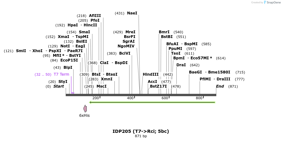 128036_map