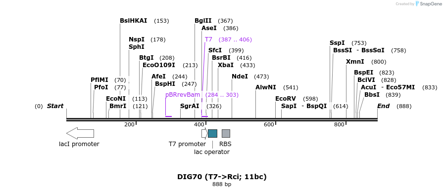 128037_map