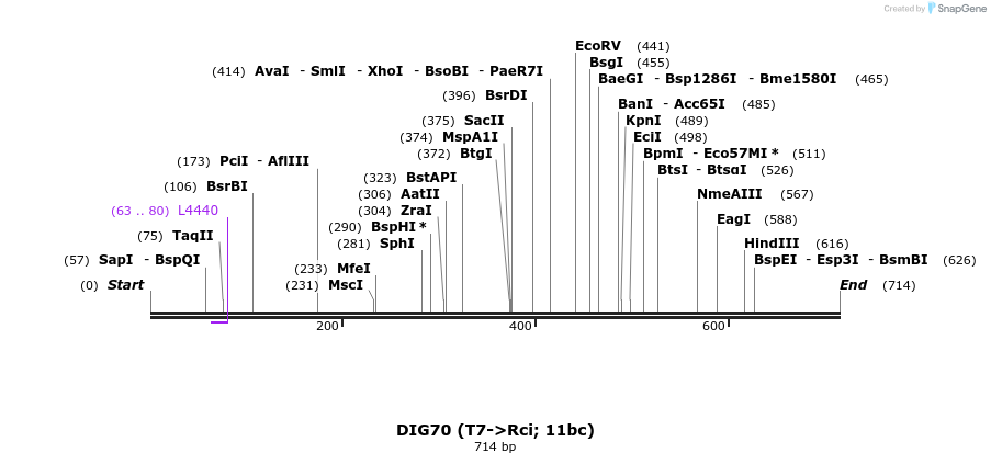 128038_map