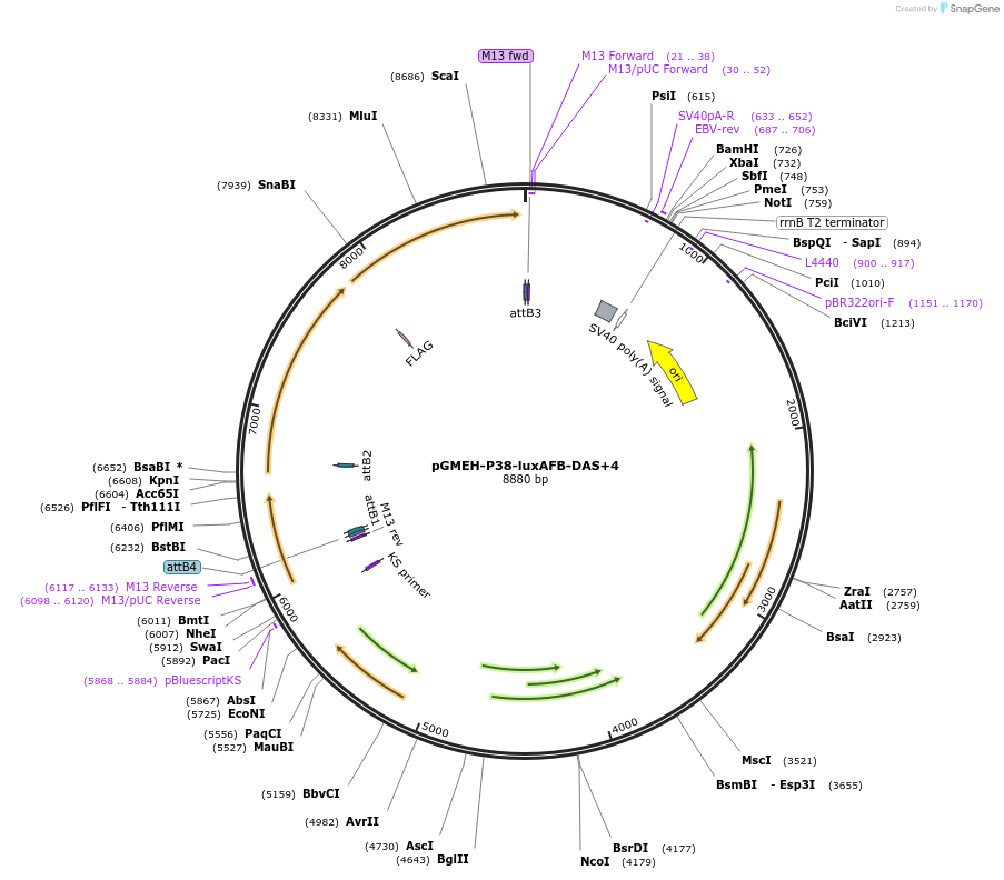 12805_map