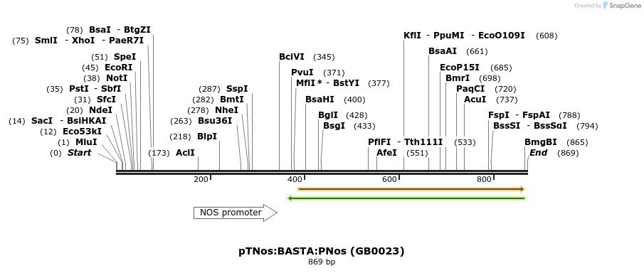 128052_map