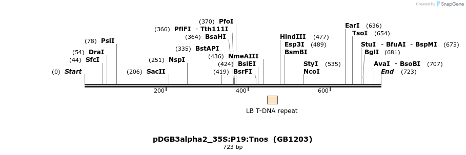 128057_map