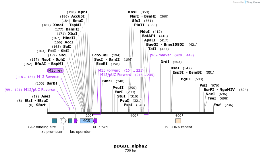 128059_map