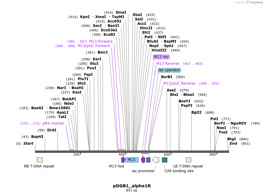 128060_map