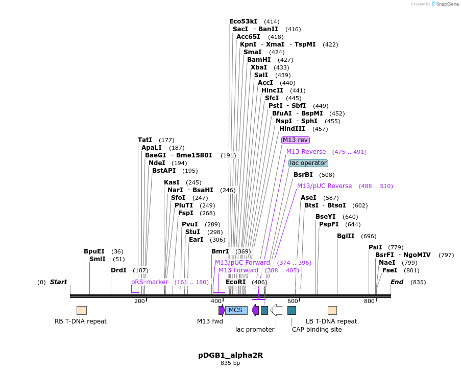 128061_map