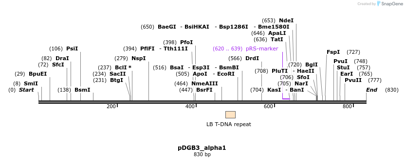128065_map