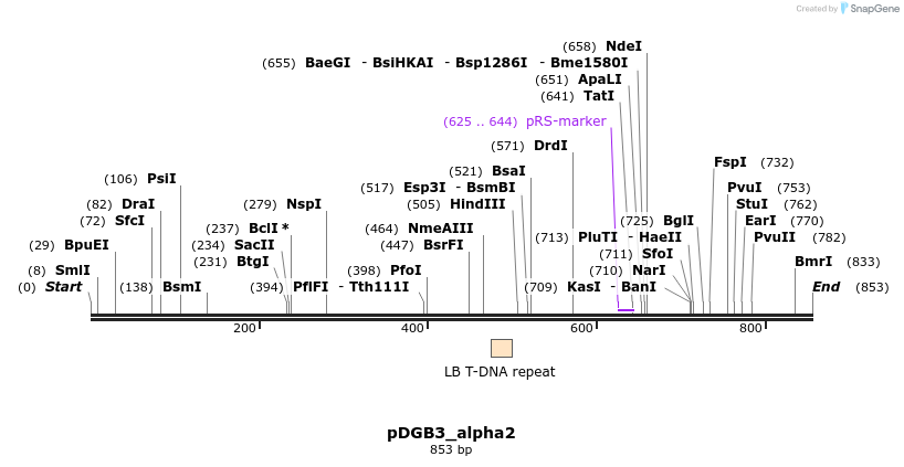 128067_map