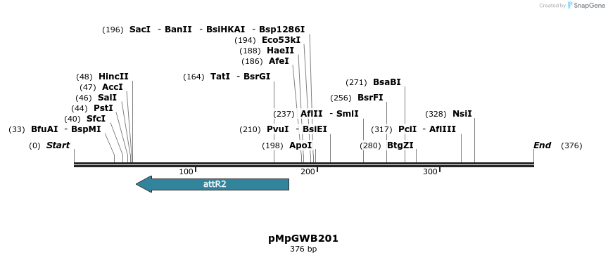 128071_map