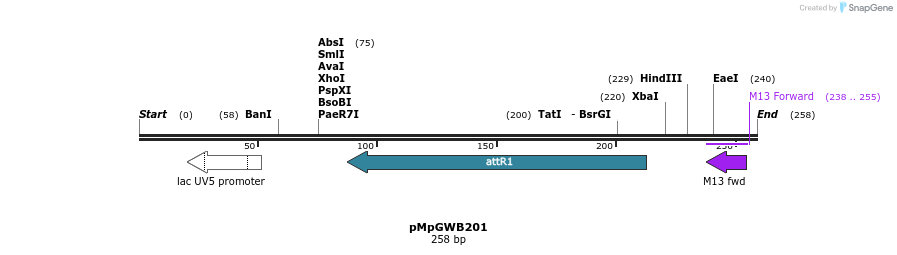 128072_map