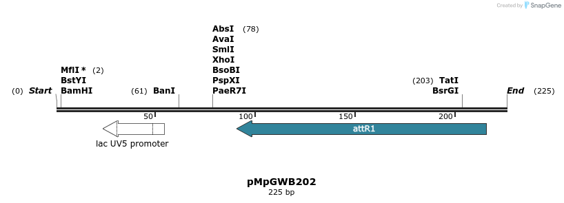128073_map
