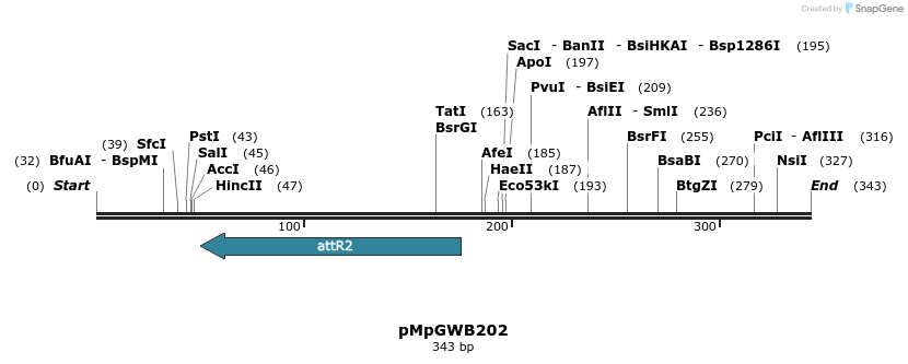 128074_map