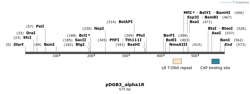 128075_map