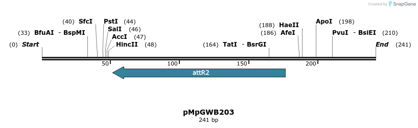128102_map