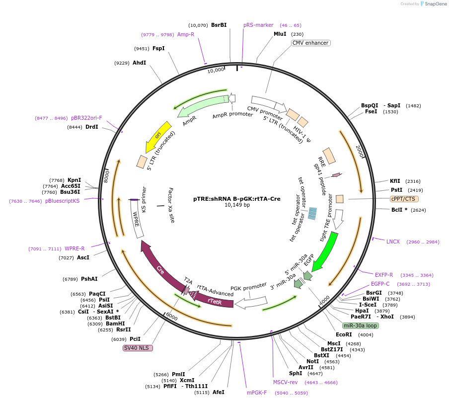 128105_map