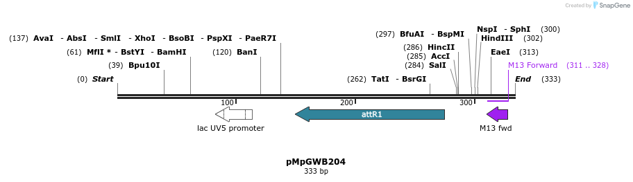 128111_map
