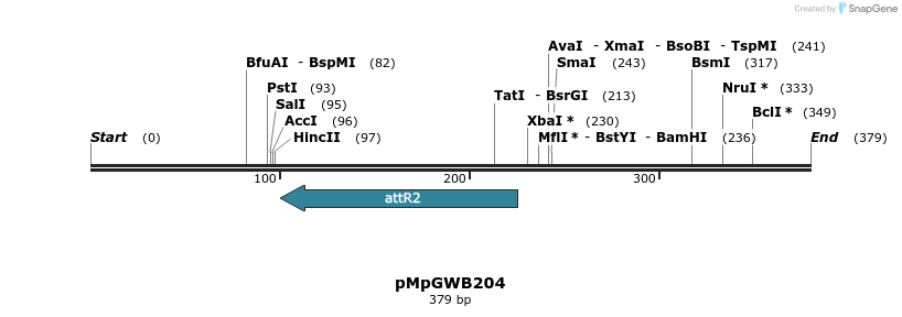 128120_map