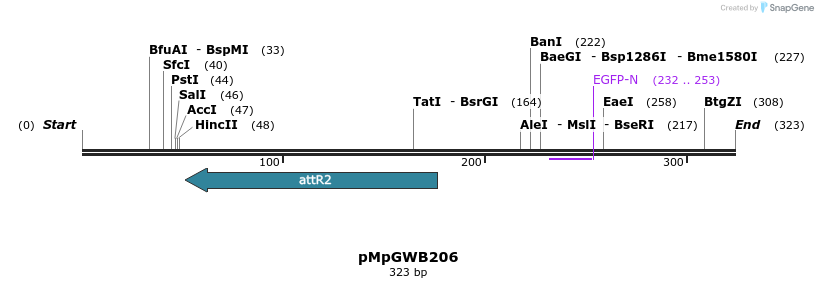 128124_map