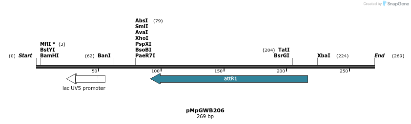 128126_map