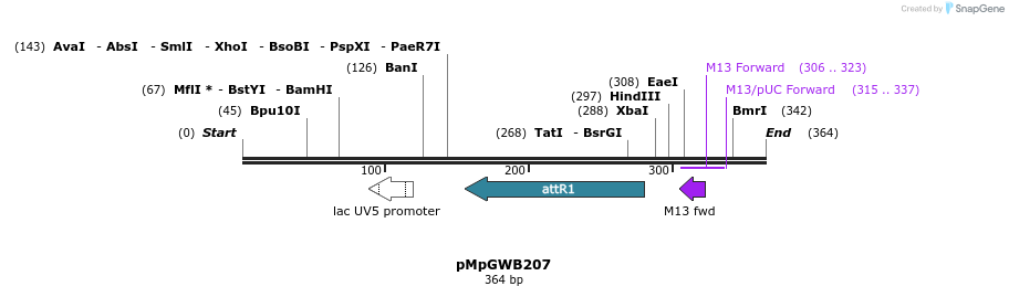 128129_map