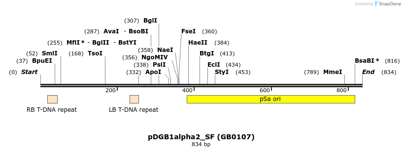 128143_map