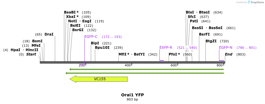 128144_map