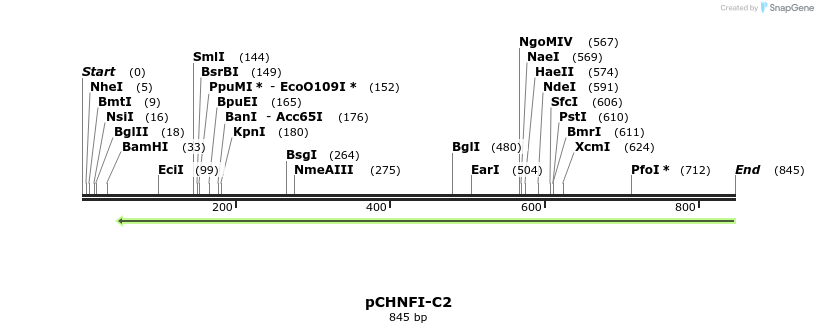 128151_map