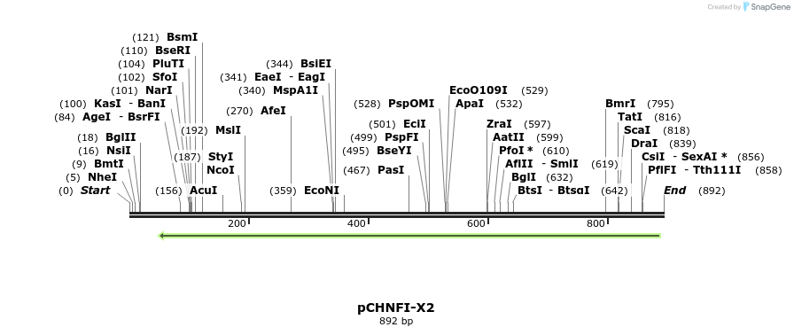 128152_map