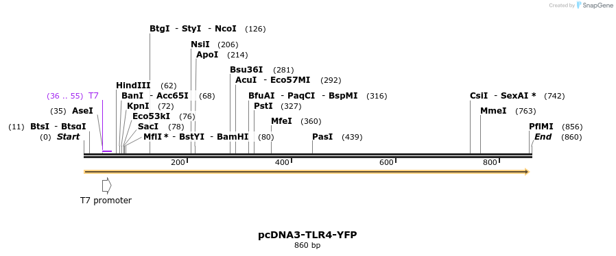 128165_map