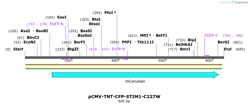 128167_map