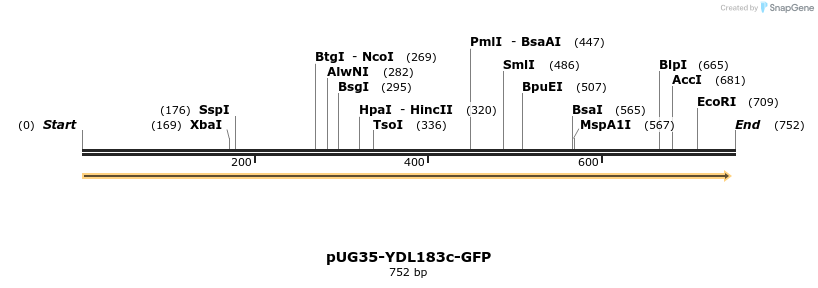 128168_map