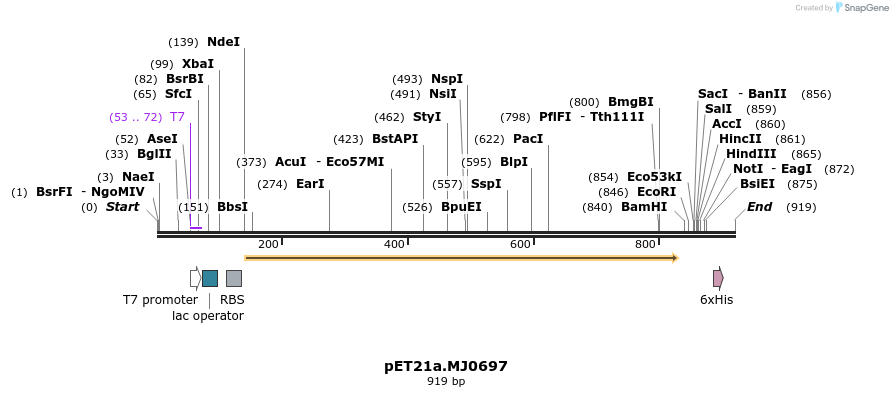 128170_map