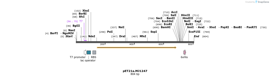 128172_map