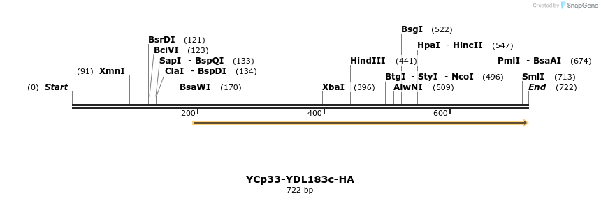 128179_map