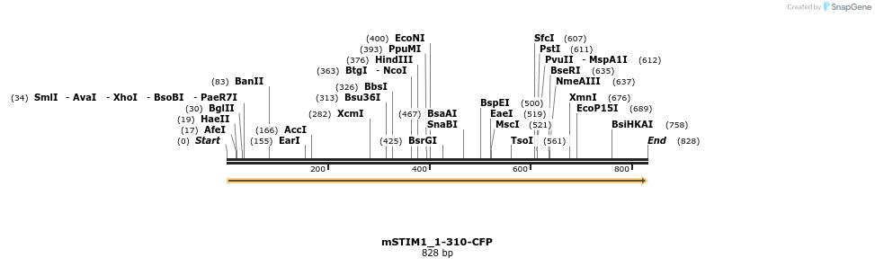 128180_map