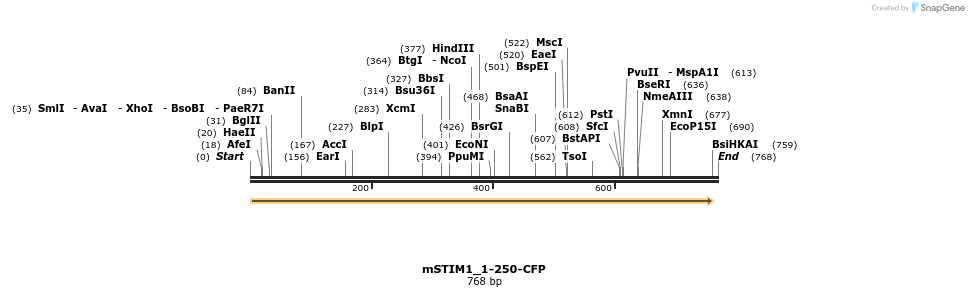 128185_map