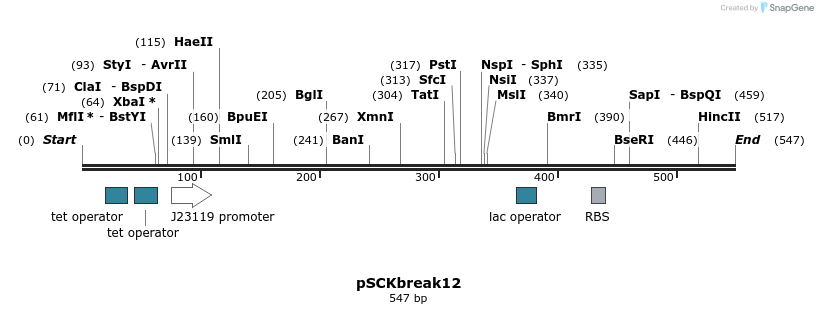 128187_map