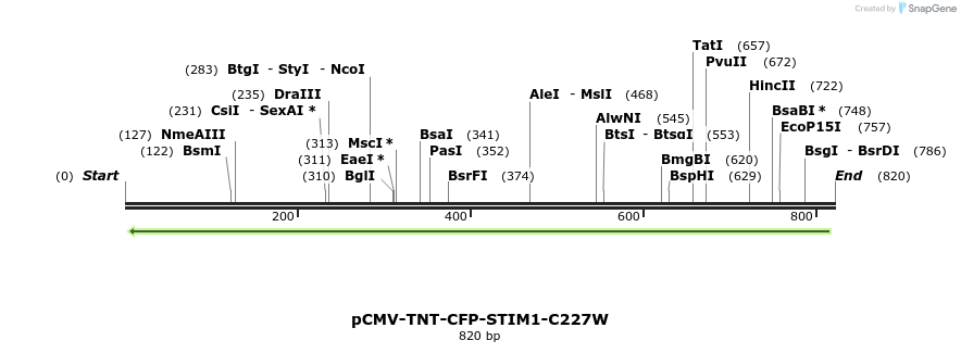 128192_map