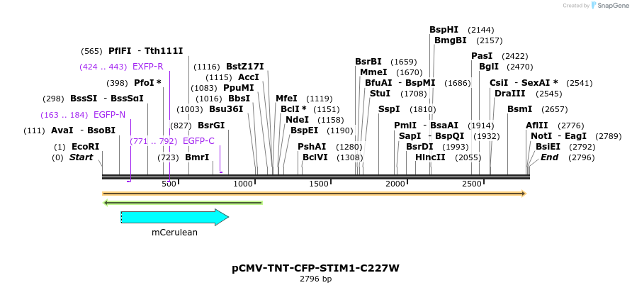 128193_map