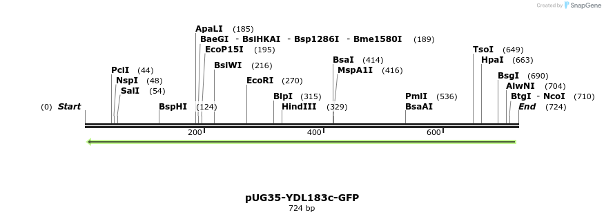 128194_map