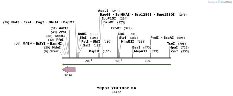128195_map