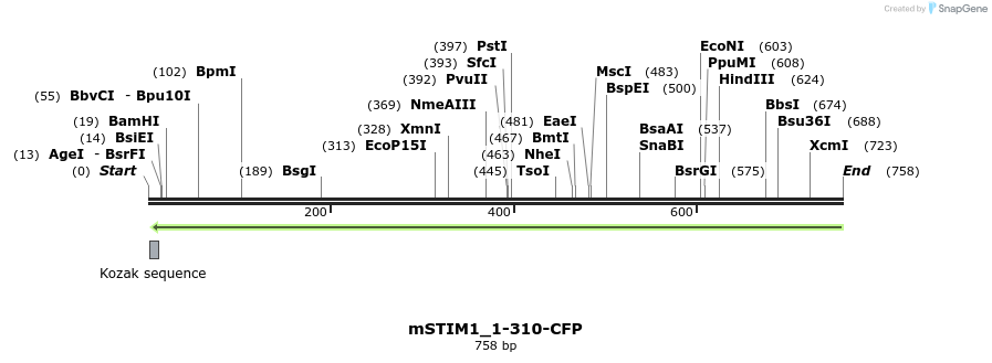 128196_map