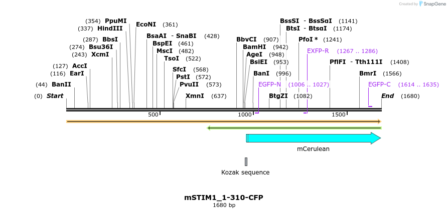 128197_map